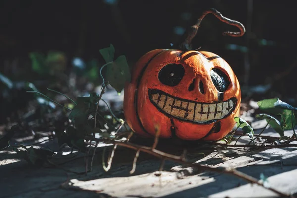 Feliz Halloween Abóbora Floresta Escura — Fotografia de Stock