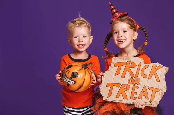 Veselý Halloween Veselé Děti Kostýmu Dýně Fialové Lila Poza — Stock fotografie