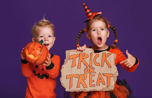 Frohes Halloween Fröhliche Kinder Kostüm Mit Kürbissen Auf Violett Violettem — Stockfoto