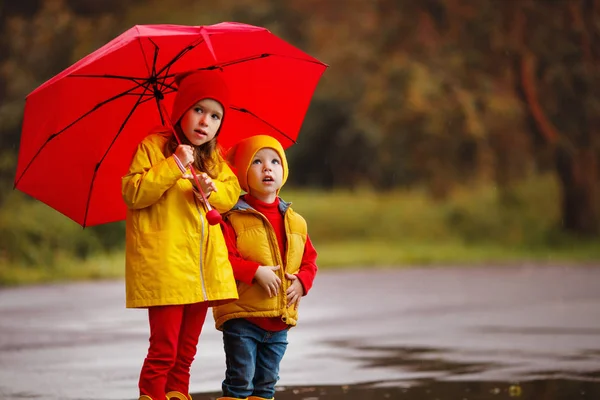 秋天的沃尔玛带雨伞的快乐孩子们 — 图库照片