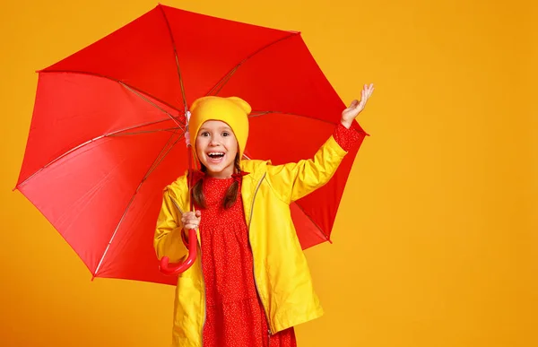 Fiatal boldog érzelmi vidám gyermek lány nevetve piros UMB — Stock Fotó