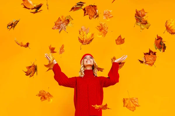 Feliz chica alegre emocional riendo con hojas de otoño y k —  Fotos de Stock