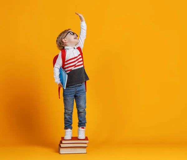 Ganzkörpermunterer Junge Mit Brille Der Auf Einem Stapel Schulbücher Steht — Stockfoto