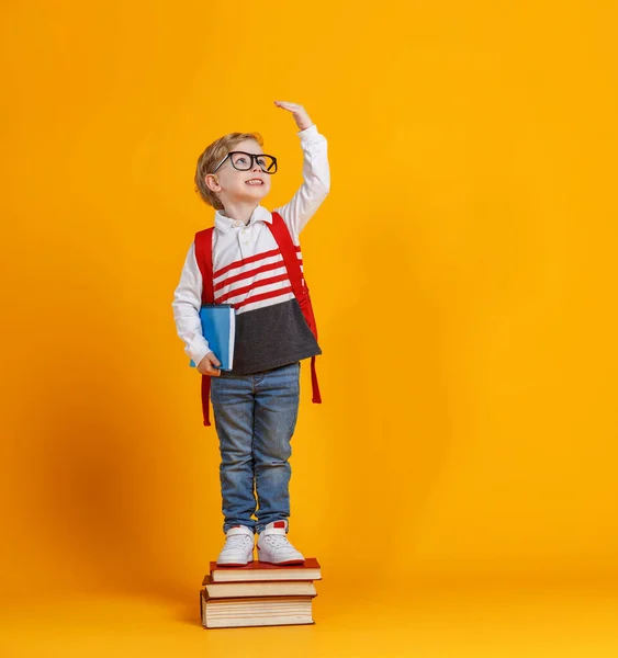 Corpo Inteiro Menino Alegre Óculos Pilha Livros Didáticos Levantar Braço — Fotografia de Stock