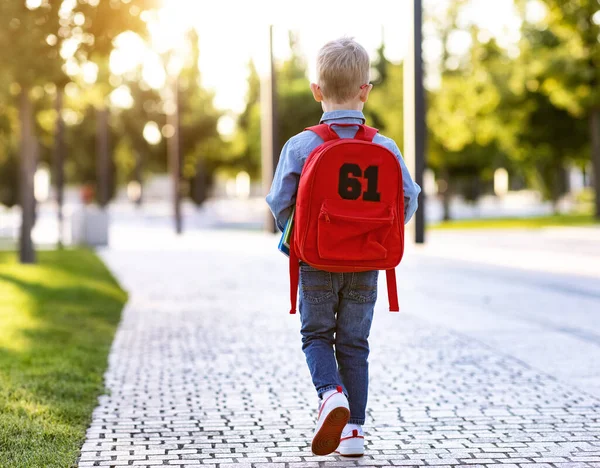 Achteraanzicht Full Body Schooljongen Met Rugzak Gaan Naar School Pad — Stockfoto