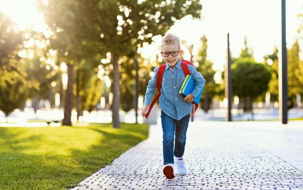 Vol Lichaam Vrolijke Jongen Met Notitieboekjes Notitieblokken Lopen Pad Het — Stockfoto