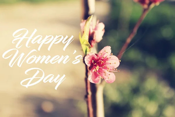 ピンクの美しい花と幸せな女性の日の概念 — ストック写真