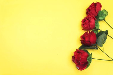 güzel güller çiçek üzerinde izole sarı arka plana Sevgililer günü ya da kadın tatil için