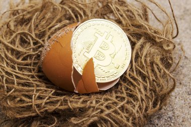 Altın bitcoins bir kırık yumurta kabuğu yukarıdaki içinde iç içe. Bitcoins ve yeni sanal para kavramı