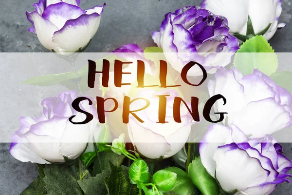 こんにちは春コンセプトで美しい花 — ストック写真