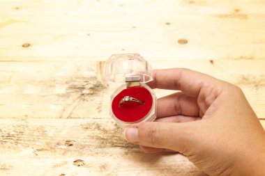 kadın el kutusunda, düğün kavramı bir güzel yüzük İttifak holding