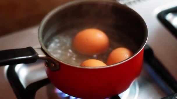 Memasak Telur Dalam Air Mendidih Saucepan Untuk Sarapan — Stok Video