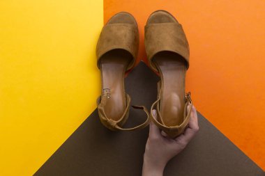 el renkli arka plan üzerinde izole güzel kahverengi kadın yaz güneş dallı tutarak