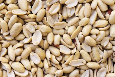 taze soyulmuş fıstık arka plan