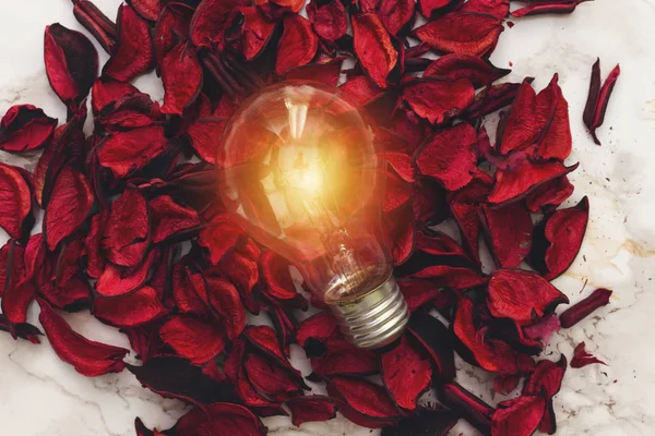 Bombilla Sobre Pétalos Secos Flores Idea Creativa Inspiración Nueva Idea — Foto de Stock