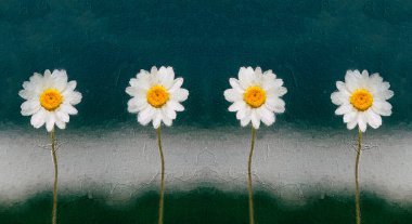 Papatya Çiçeği Mavi Arkaplan. Tek bir Shasta papatya çiçeğinin suluboya resmi