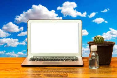 Modern Laptop 'ın ön görüntüsü, gökyüzü arka planlı eldiven kaktüsü saksı bitkisi.