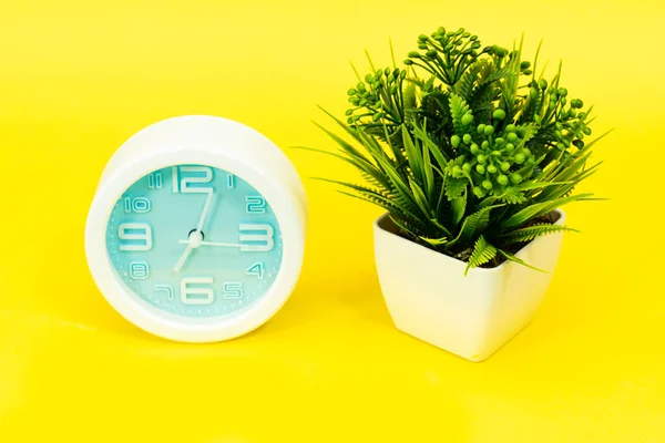 Alarme Heures Horloge Plante Pot Isolé Sur Jaune — Photo