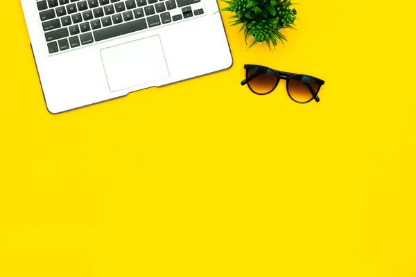 Modern aluminum computer or laptop keyboard, pot plant and sunglasses isolated yellow background
