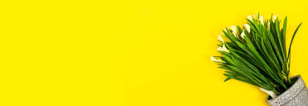 用黄色背景隔离的卡拉百合花制成的木壶 — 图库照片
