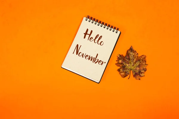 Hello November Notebook Autumn Leave Isolated Orange Background — стоковое фото