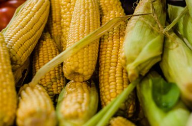 Bir sokak gıda pazarında bir pazar tezgahında taze mısır koçanları