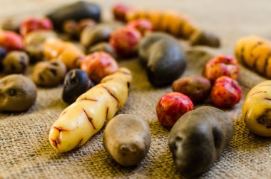 Rengarenk Bolivya ve Perulu patates ve yumrular rustik kahverengi arka plan üzerinde
