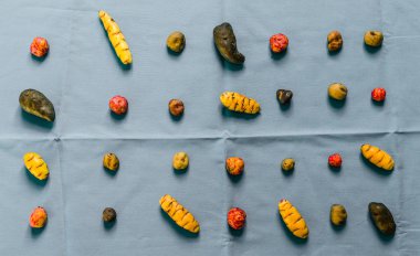 Renkli bolivya ve Perulu patates ve renkli arka plan karşı yumrular