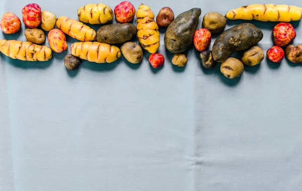 Batatas e tubérculos bolivianos e peruanos coloridos contra fundo colorido — Fotografia de Stock