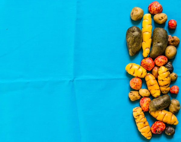 Batatas e tubérculos bolivianos e peruanos coloridos contra fundo colorido — Fotografia de Stock