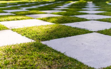Güneşli bir günde beyaz ve yeşil renklerde damalı zemin