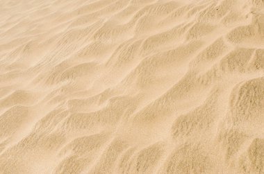 Çöl sahilinde beyaz ve sarı kum