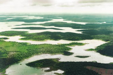 Renkli Amazon nehirleri, orman, orman ve alanların manzara havadan görünümü