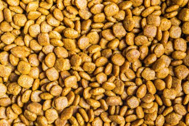 Evcil kedi köpek maması makro fotoğraf kapatın.