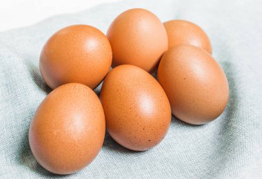 Beyaz ve mavi arka plana karşı taze tavuk yumurtası.