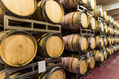 Şaraphanede şarap fermantasyonu için meşe şarabı fıçıları..