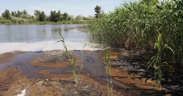 Промислові стічні води та піна — стокове відео