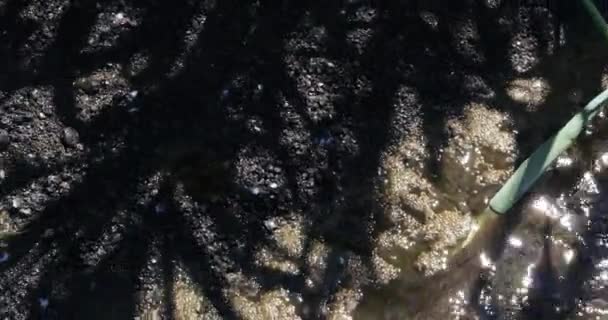 Eaux usées industrielles et mousse 