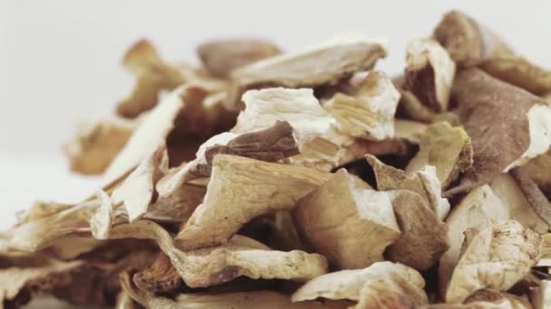 Dried white mushrooms — Stock Video
