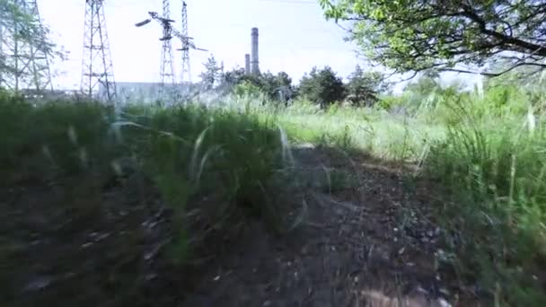 Herbe haute et chemin 