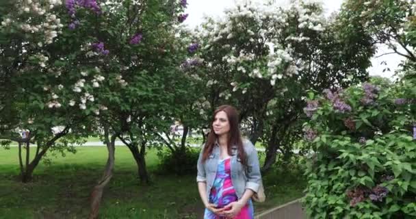 Girl in a lilac garden — Stock Video