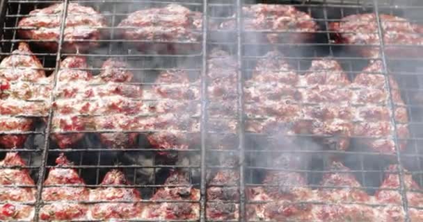 Cocinar carne en el fuego — Vídeo de stock