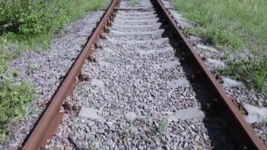 Bitkiler demiryolu ile büyümüş