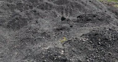 Cüruf termik santral