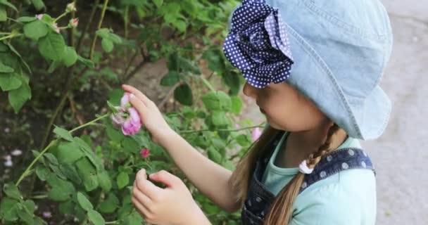 Mädchen schnüffelt an einer Rose — Stockvideo