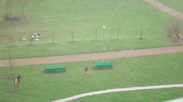 Lluvias durante el picnic — Vídeos de Stock