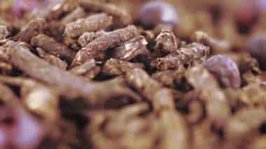 Ivan-Çay üzümü ile