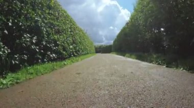 Sebze labirent steadicam kamera