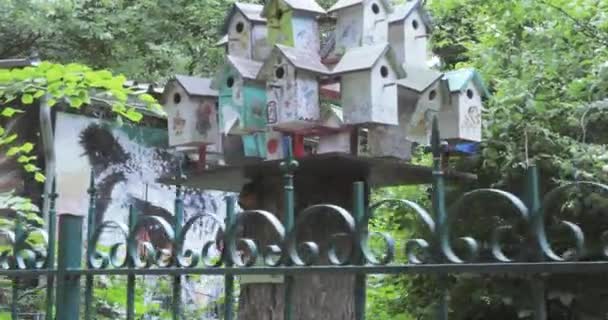 Trä birdhouses i parken — Stockvideo