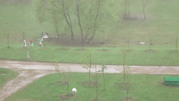 Opady deszczu podczas pikniku — Wideo stockowe